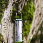 bird-feeder-problems-niger-feeder-5