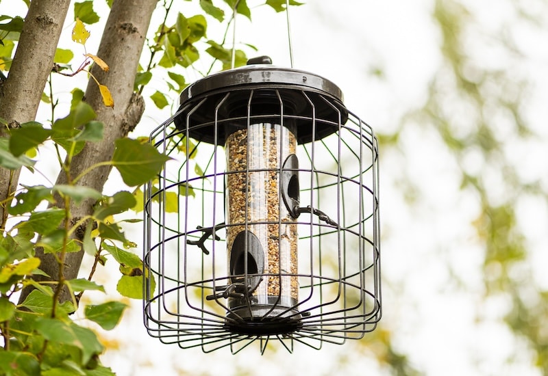 Heavy Duty Squirrel Proof Seed Feeder from Happy Beaks